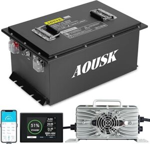11. AOUSK 48V Lithium Golf Cart Battery
