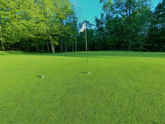 Types of Deep Cycle Batteries for Golf Carts